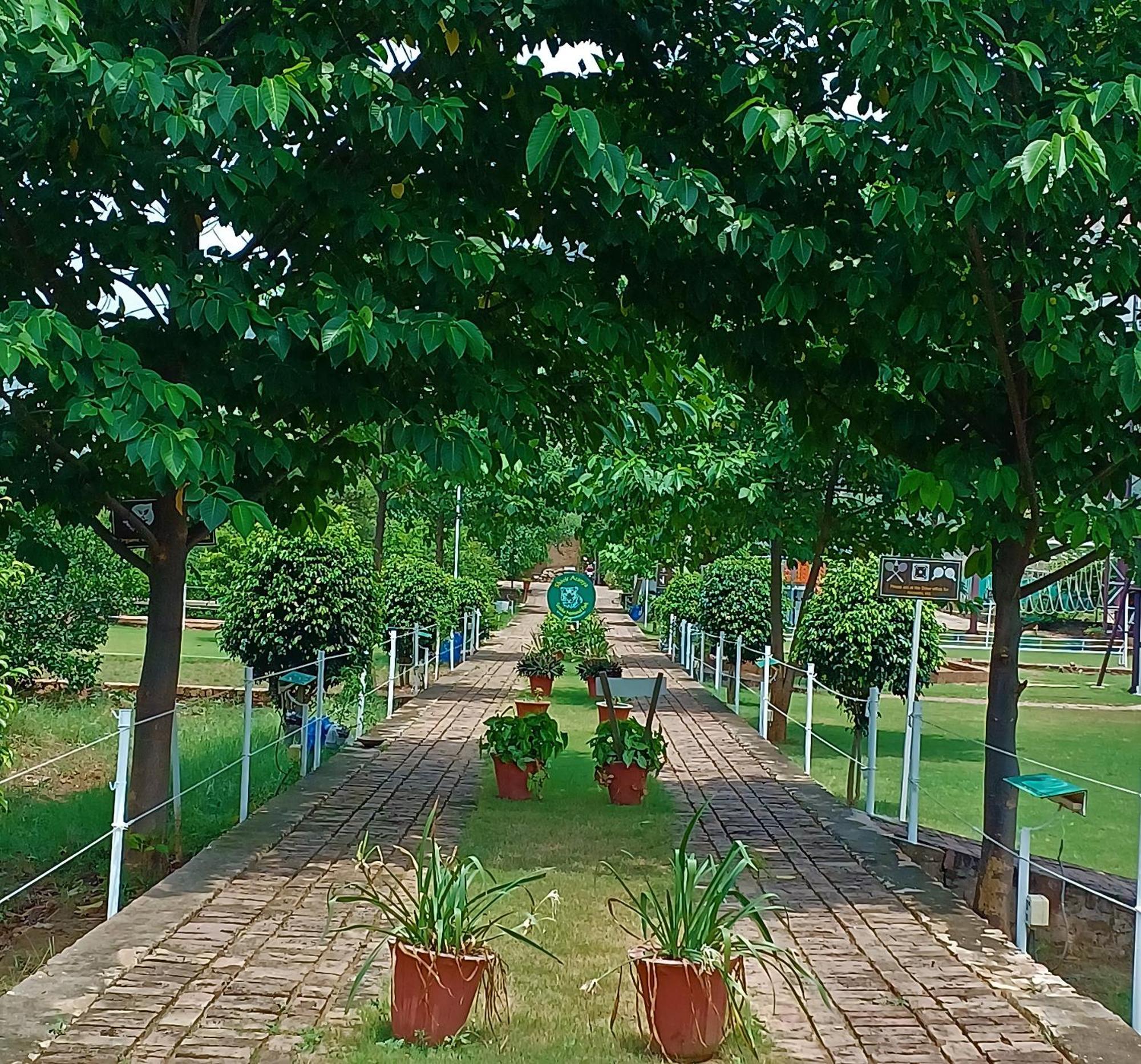 Shivir Aranya - Wilderness Resort Alwar Luaran gambar